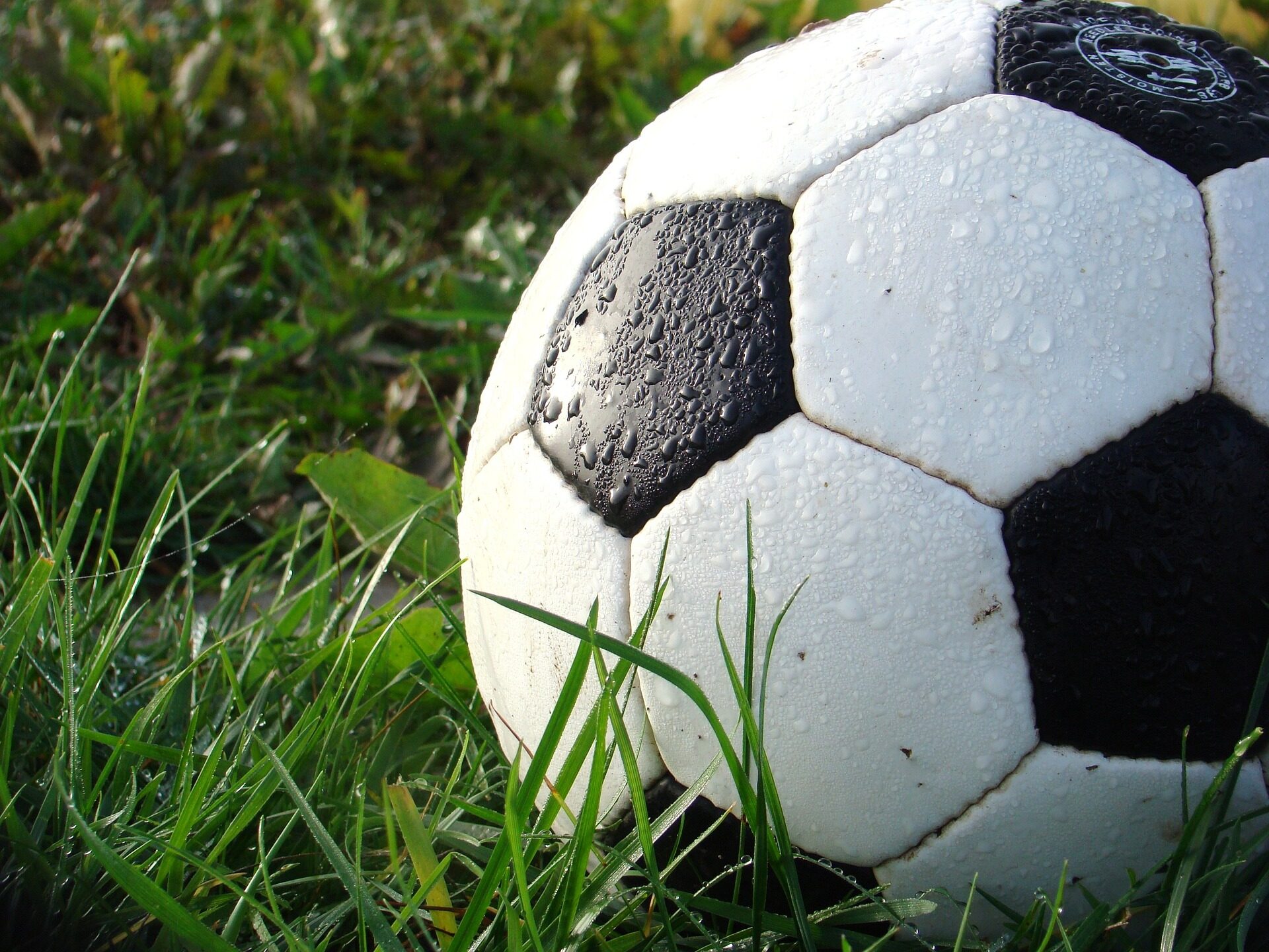 ball